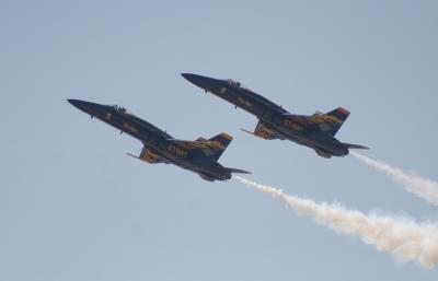IMG_5349.jpg