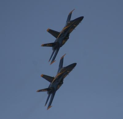 IMG_5390.jpg