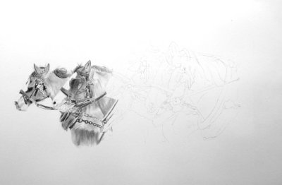 Draft horse team