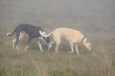 Trip & Tom - from always being a follower Tom now finds himself in the position of being the leader