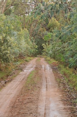 Public access track into the bush