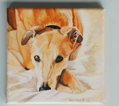 One of my ex foster Greys, the gorgeous Miss Millie - Artisan Oils - the Millie Look!