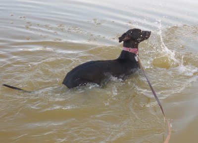 Cindy making a splash.