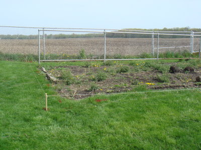 The site pre-fence!  Ignore the weeds, I'll deal with them before I plant the veggies :-)