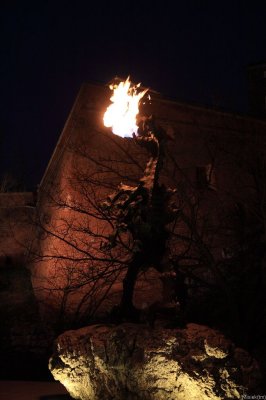 IMG_18658.JPG