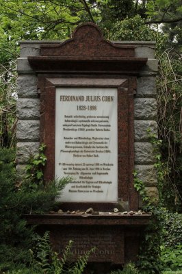IMG_18936.JPG