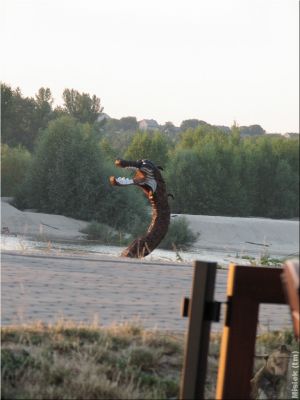 IMG_0883.JPG