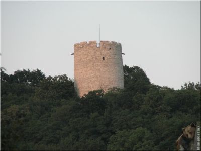 IMG_0887.JPG