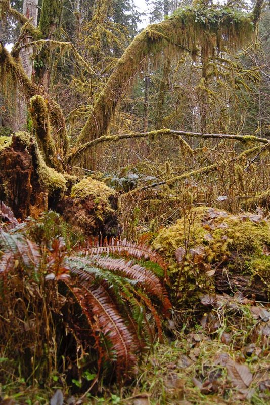 _DSC0384.jpg