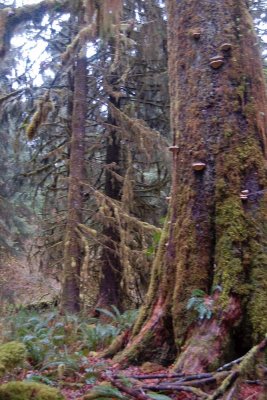 _DSC0430.jpg