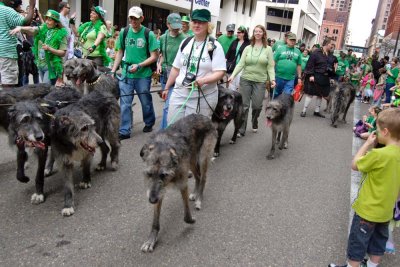 St. Patrick's Day Parade