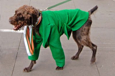 St. Patrick's Day Parade