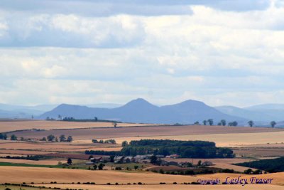 Eildon Hills