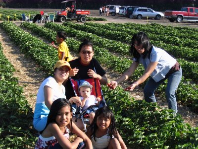 with vivian family at the strawberry field