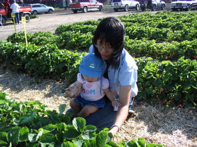 vic enjoying picking strawberry with leslie