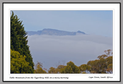 Table Mountain above early morning mist (3896)