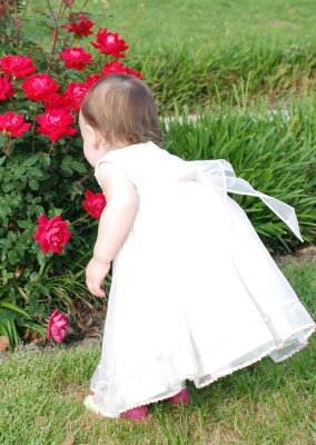Always stop and smell the roses!