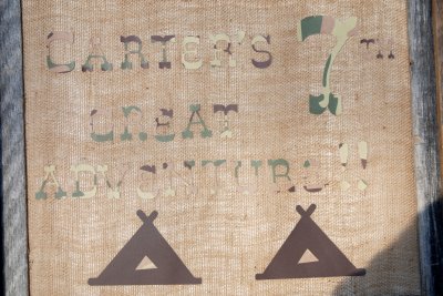 Carter's Great Adventure