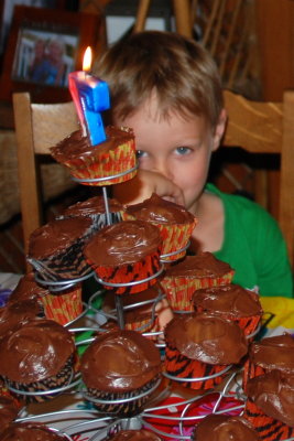 Brooks is hiding behind the cupcakes