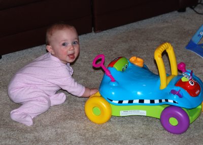Bella likes her new toy