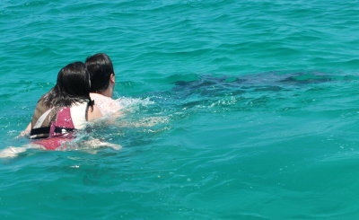 Paige and Josh swimming with a dolphin