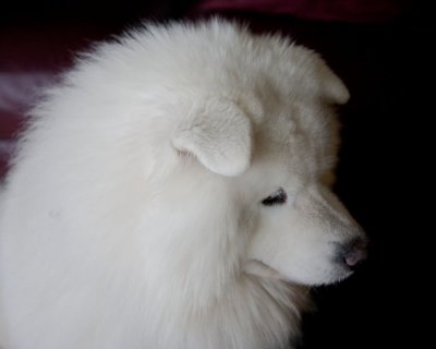 Profile