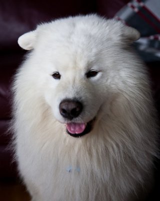 Smiley Boy2