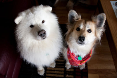 Sadie & Tolkeetna