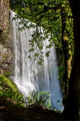 Lower South Falls6