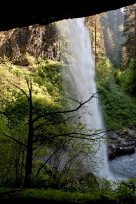 North Falls Sillouette