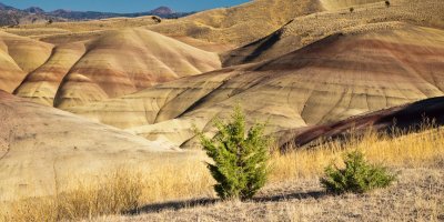 Painted Hills2