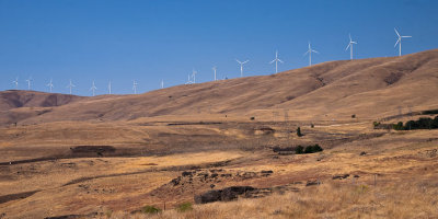 Windmills of my mind