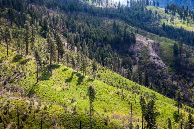 Leavenworth hills