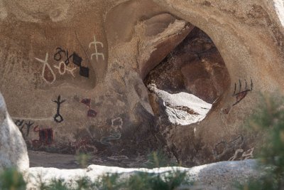 Petroglyphs...who knew?