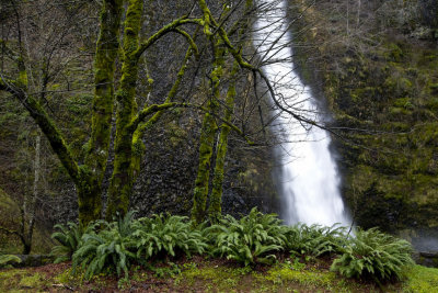 Horsetail Falls