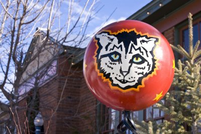 Satin globe