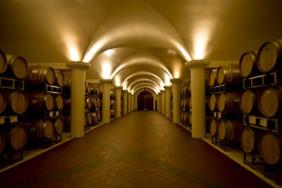 Underground cathedral cellar