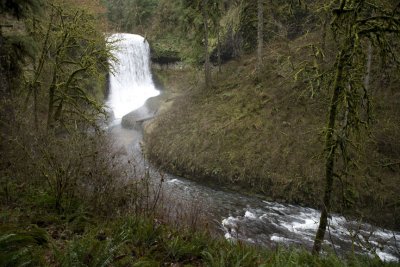 Middle Falls, Silver Falls State Park
