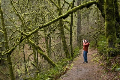 Bill in the moss forest