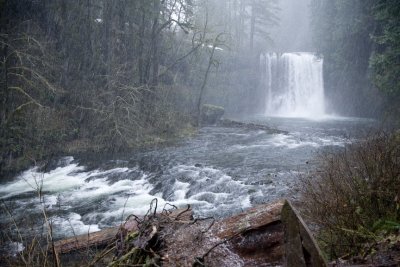 Oregon Bounty