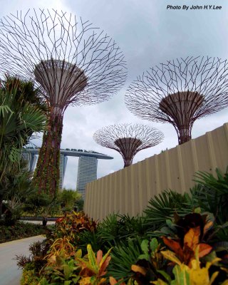 Gardens By The Bay - Flower Dome Preview