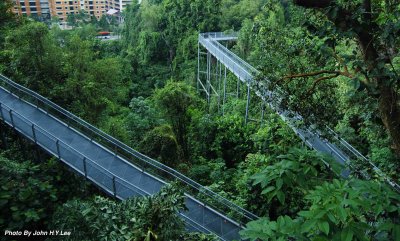 A Day Hiking In Singapore Part 1