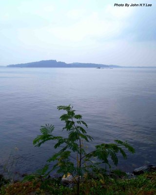 001 - Pulau Ubin From Far.jpg