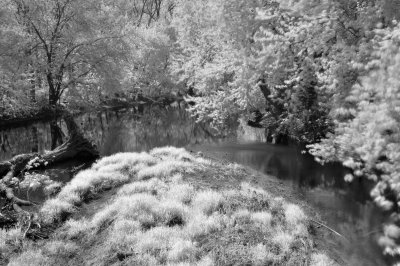 Infrared1.jpg