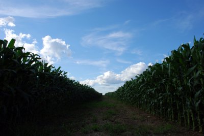 g4/54/788754/3/134637069.6CpFwNQk.jpg