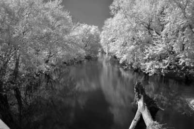 Infrared2.jpg.jpeg