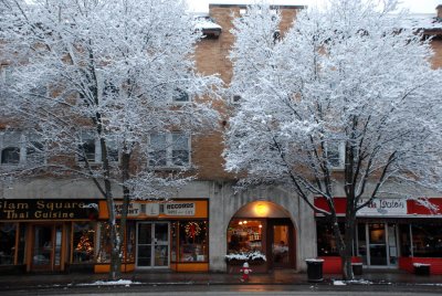 January snow3.jpg.jpeg