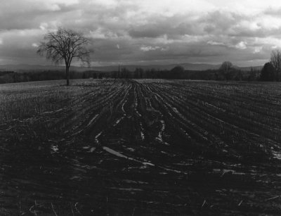 B&W print photography