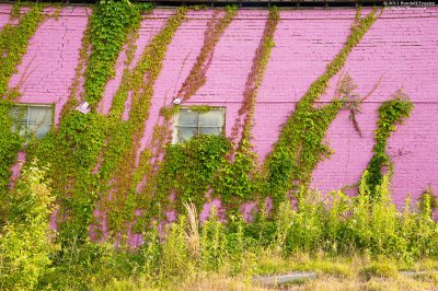 Hot Pink Wall - Vicksburg MS