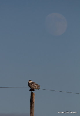 IMG_8286--2--NS.jpg